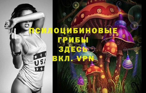 мдпв Козельск