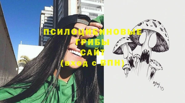 метамфетамин Козловка