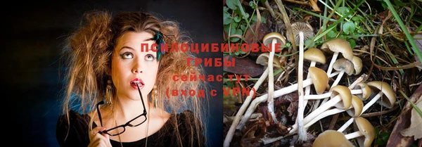 мдма Кодинск