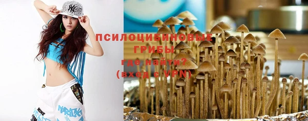 мдпв Козельск