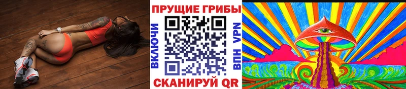 Купить закладки  Гусев  Псилоцибиновые грибы GOLDEN TEACHER 
