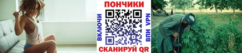 МАРИХУАНА семена  Купить закладки  Гусев 